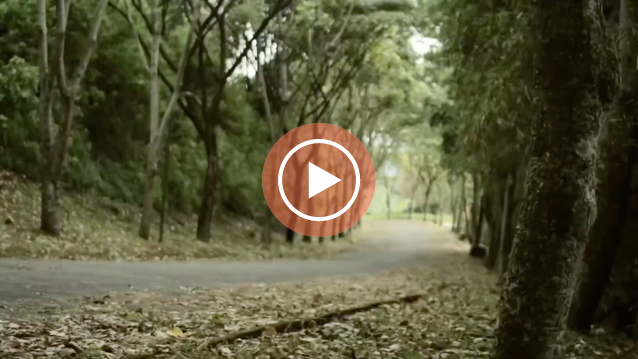 Video x